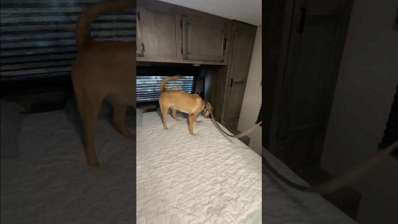 New RV, same old problem! 🤢 
