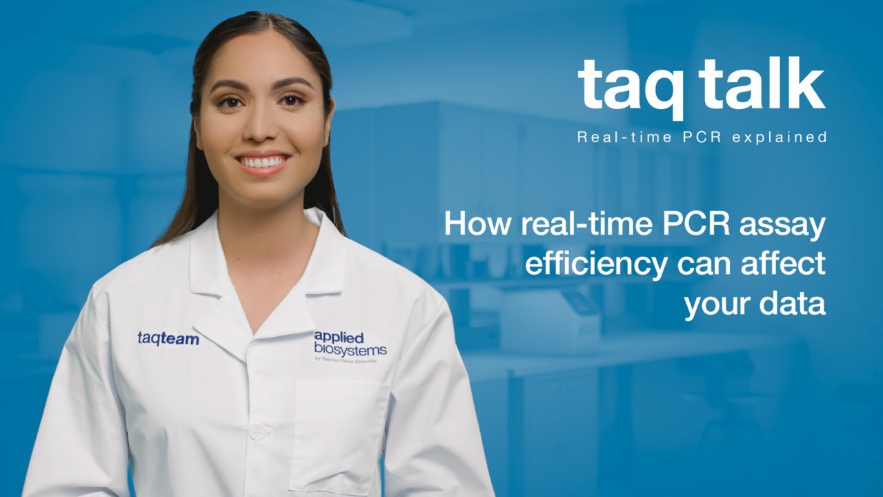 How real-time PCR assay efficiency can affect your data--Taq Talk Episode 32