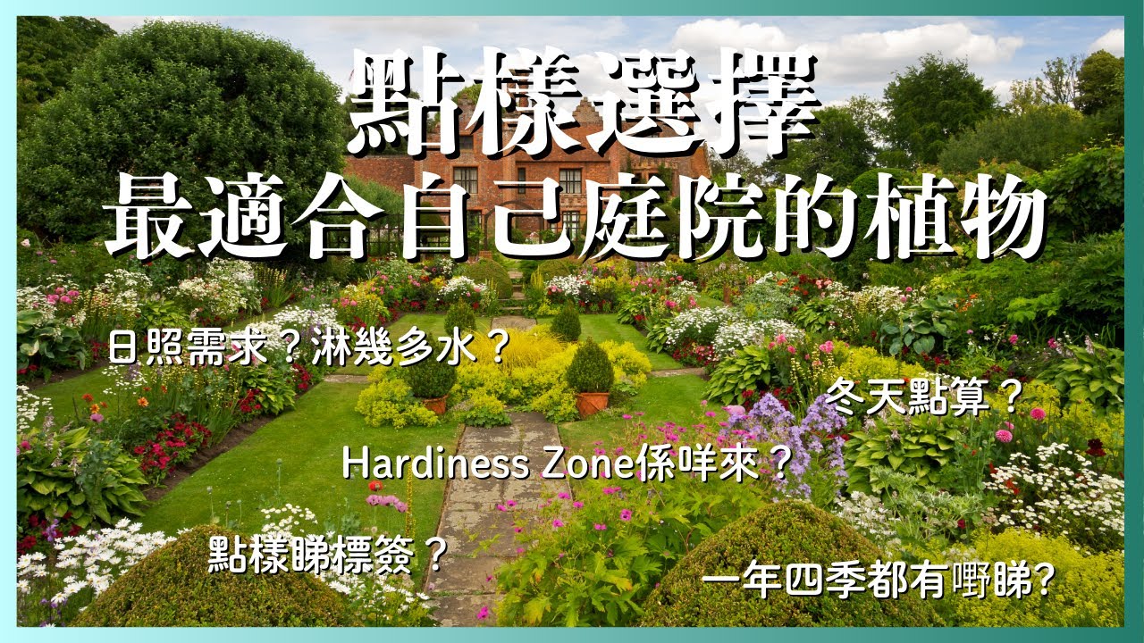 教你用園境設計角度選擇植物：室外篇｜冬季吸引力｜四季都賞心悅目｜#廣東話 #園境設計 #中文字幕