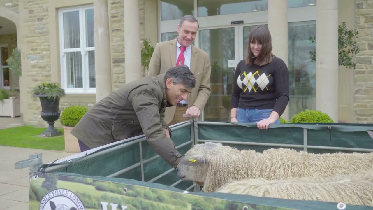 WHO DOESN’T LIKE SHEEP? | RISHI SUNAK
