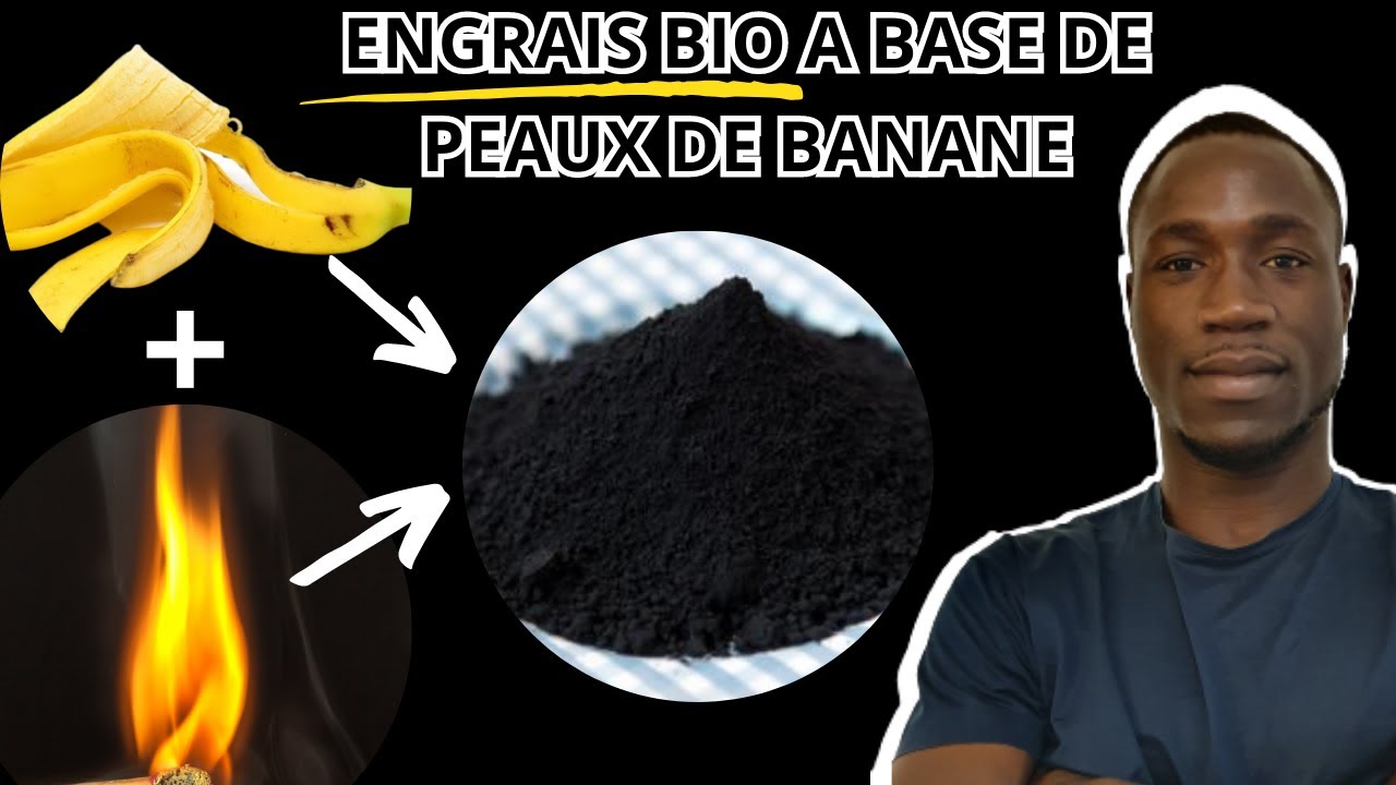 Fabriquer un engrais BIO (fait maison)