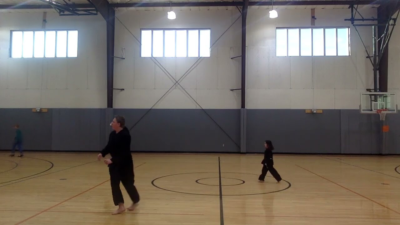 brown belt test part 2 122022025