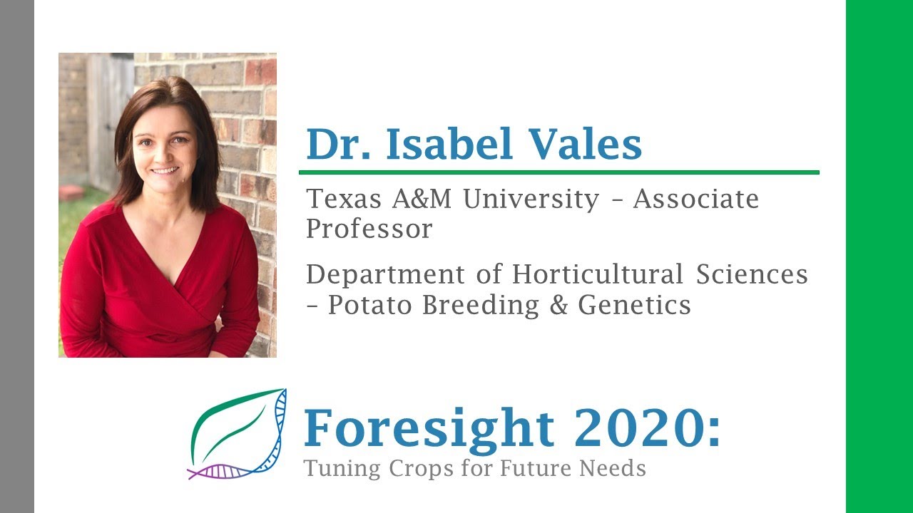 PBSymposium2020 - The Texas A&M Potato Breeding Program: Transitioning to Molecular Breeding