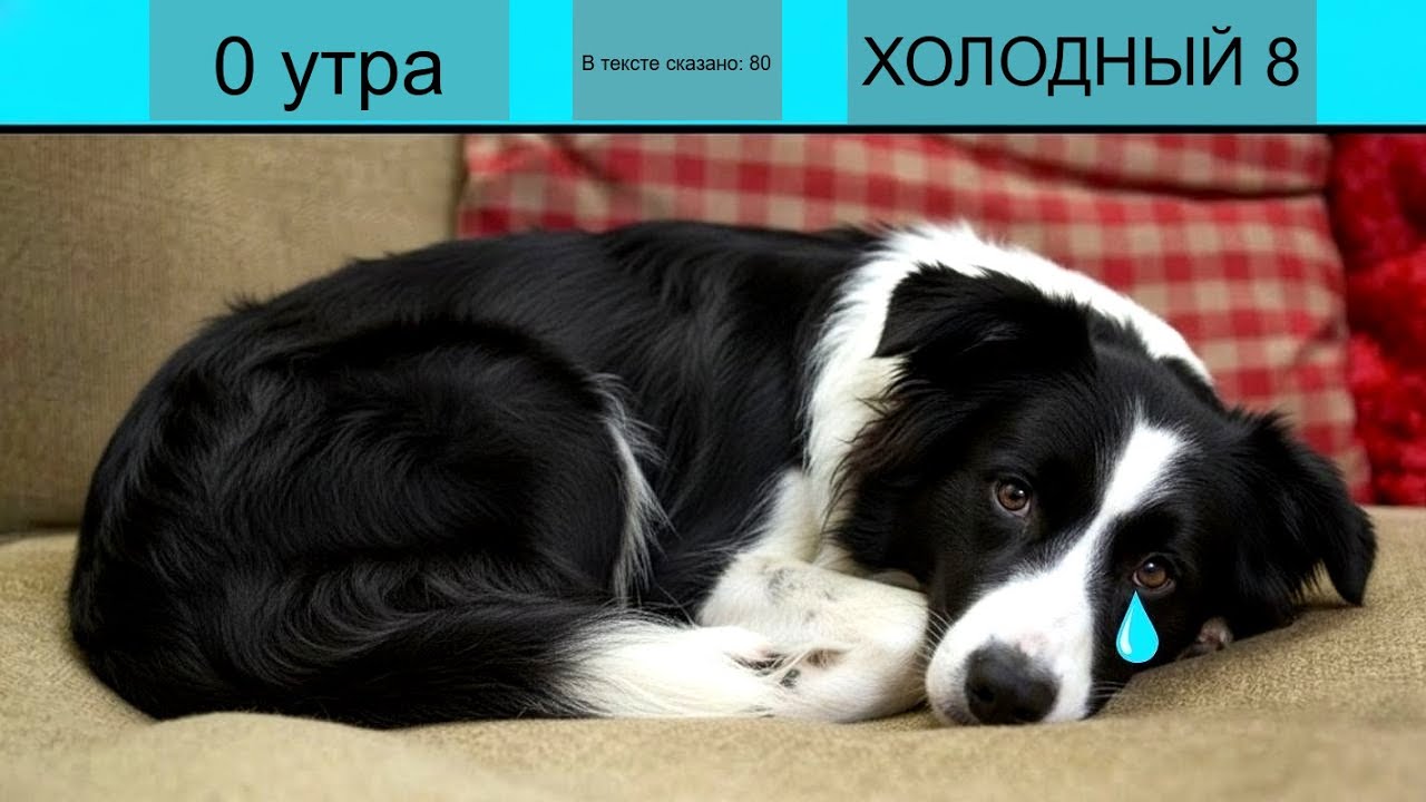 % ВЛАДЕЛЬЦЕВ СОВЕРШАЮТ ЭТИ ЗИМНИЕ ОШИБКИ, И СОБАКИ МОЛЧА СТРАДАЮТ