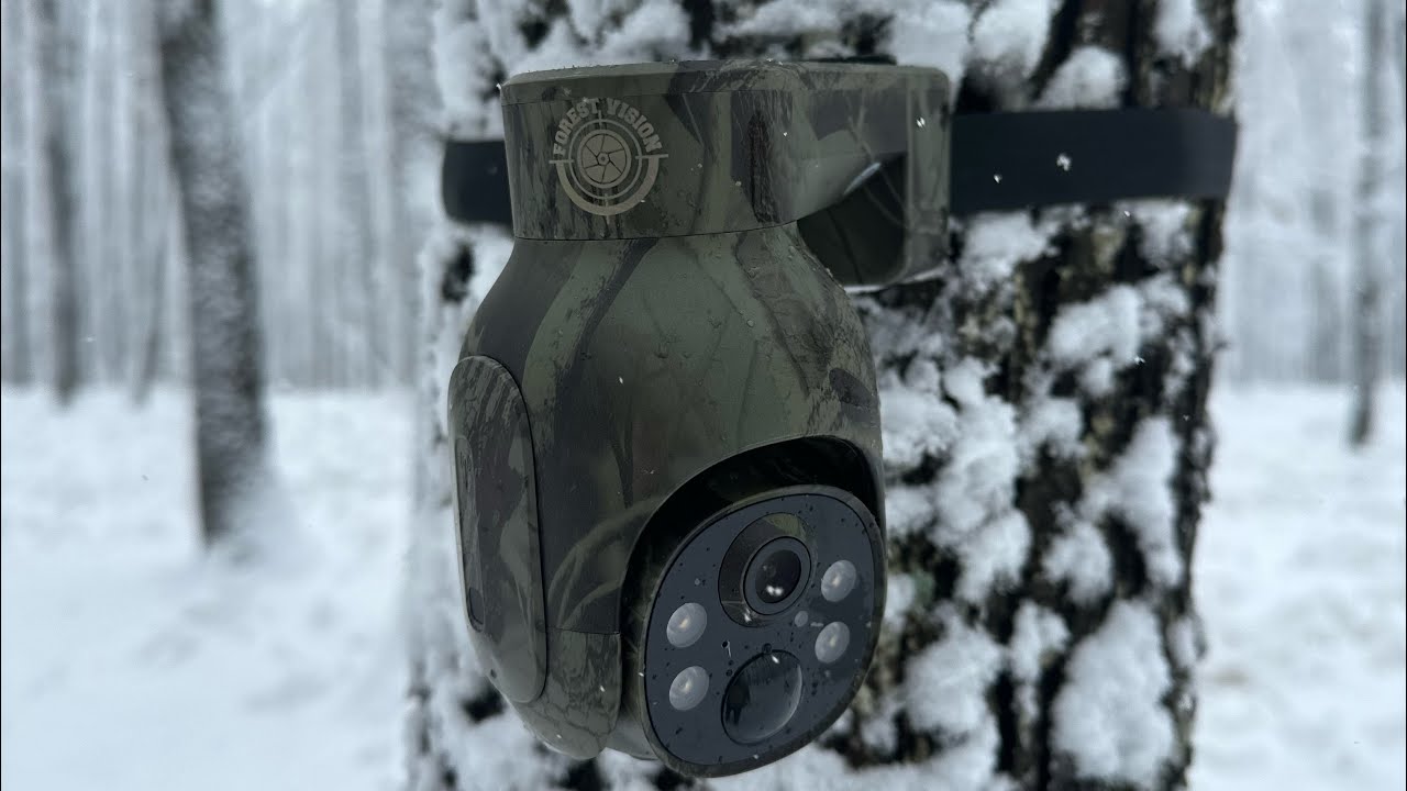 Setare cameră v&acirc;nătoare ForestVision Live C2 360