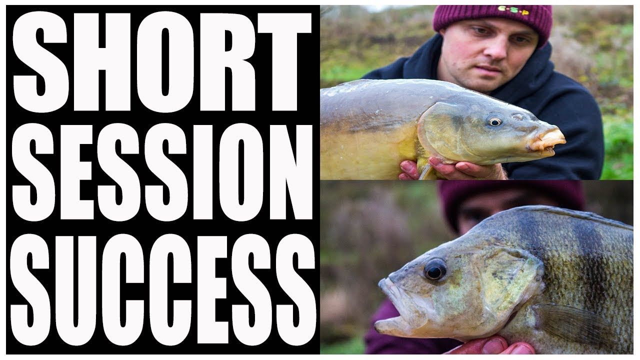 Specimen PERCH Fishing