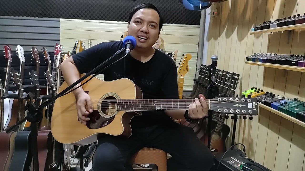 Review Cort MR 710 F / 12 NS asoy nih 12 strings