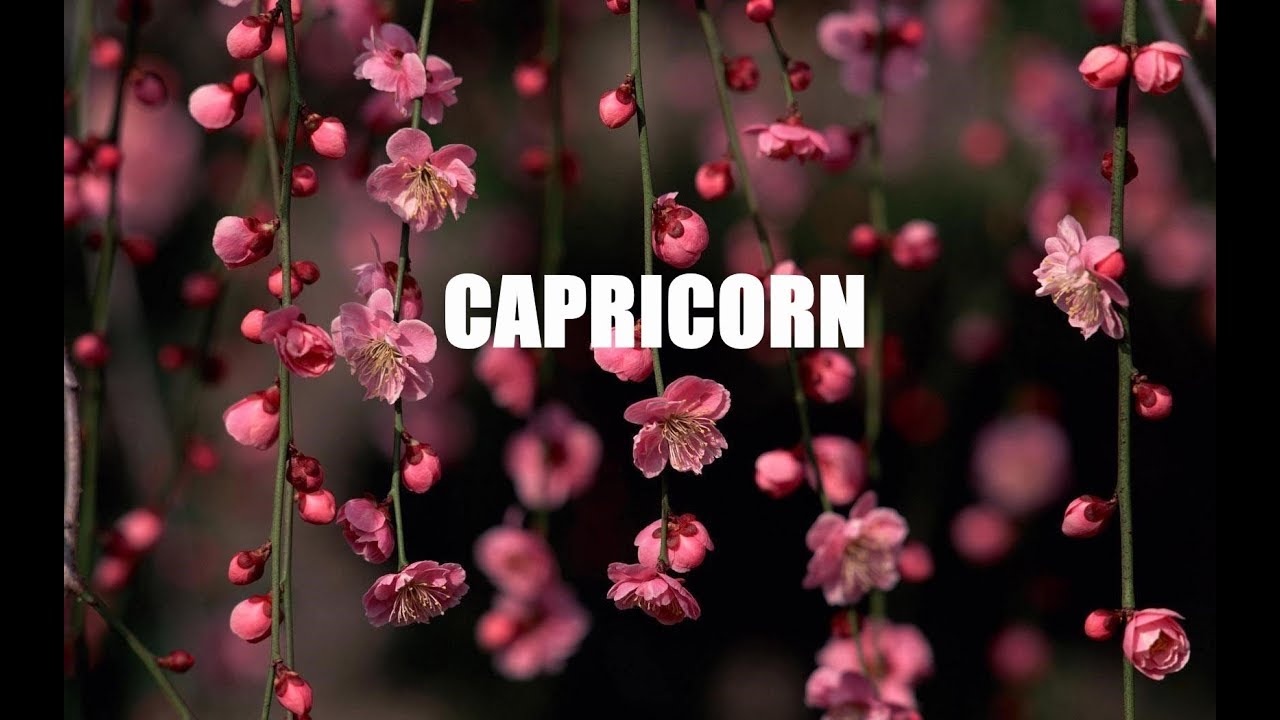 CAPRICORN: STAND YOUR GROUND CAP CITY!