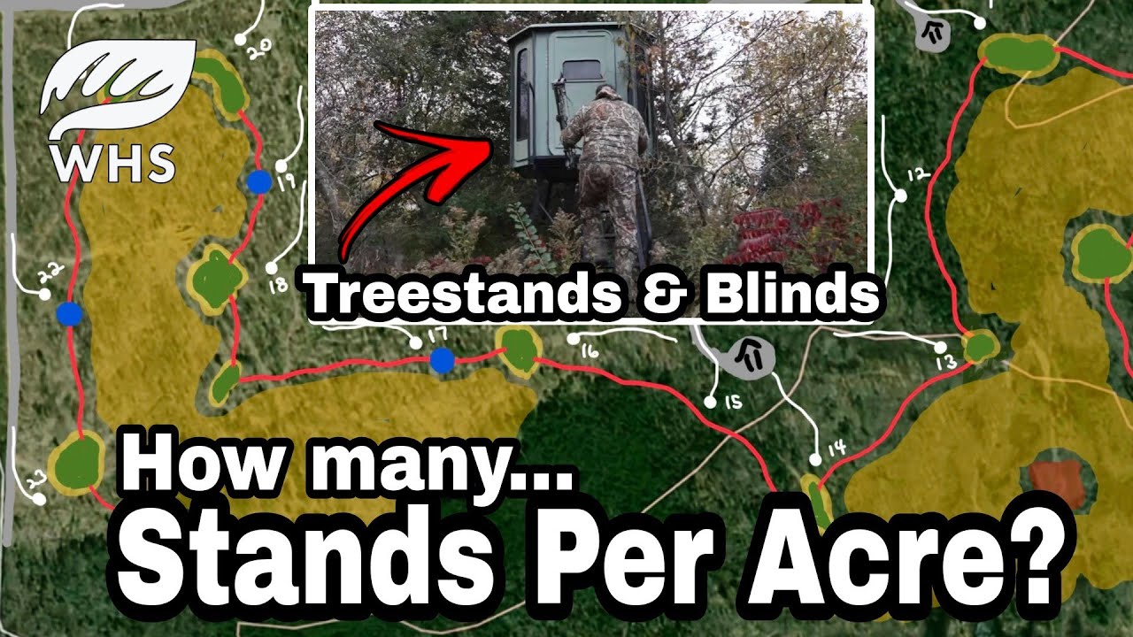 Here Are How Many Stands And Blinds You Need