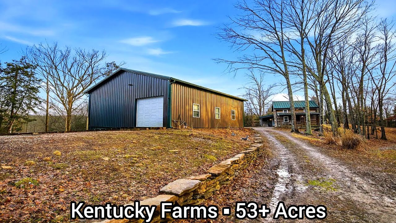 Kentucky Farms For Sale | 53+ Acres | Kentucky Land For Sale | Tropy Deer Hunting Land Investment