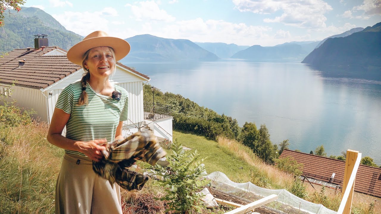 Zurück zum täglichen Leben in Norwegen Ep.16
