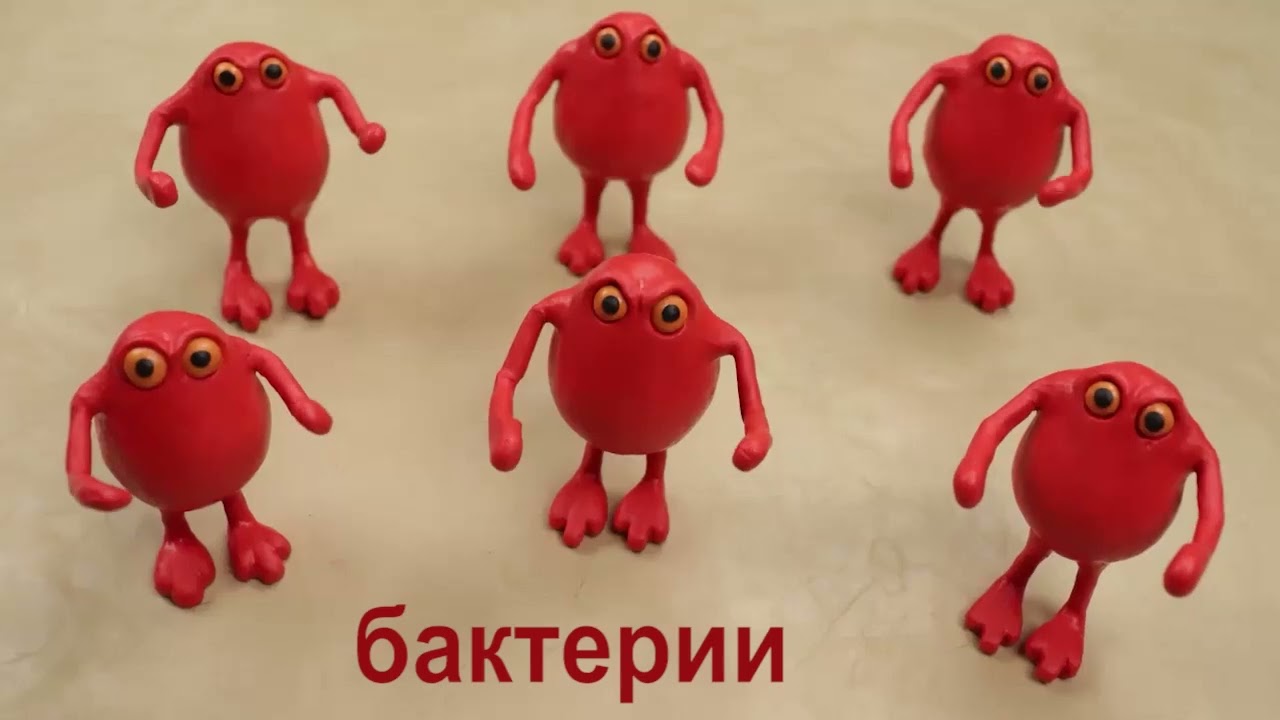 Мультфильм «Пищеварение. Часть 1 — ротовая полость»