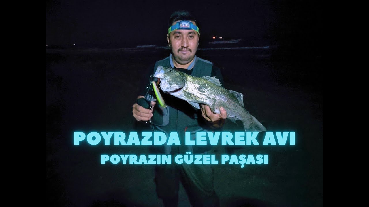 POYRAZ HAVADA SPİN İLE LEVREK AVI - 16.08.2025 İSTANBUL-TEKİRDAĞ LEVREK AVI