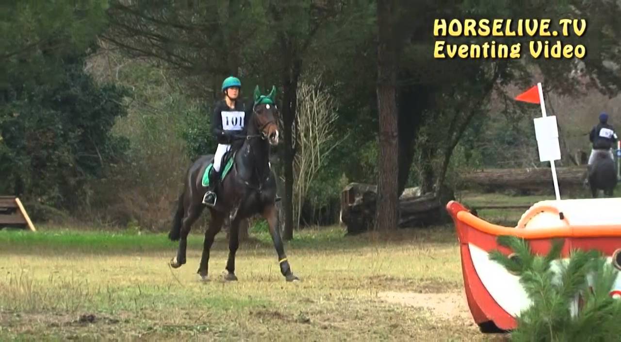 Johner Mélody FRIMEUR DU RECORD CH Ravenna CCI3* - Nov 2014 mp4