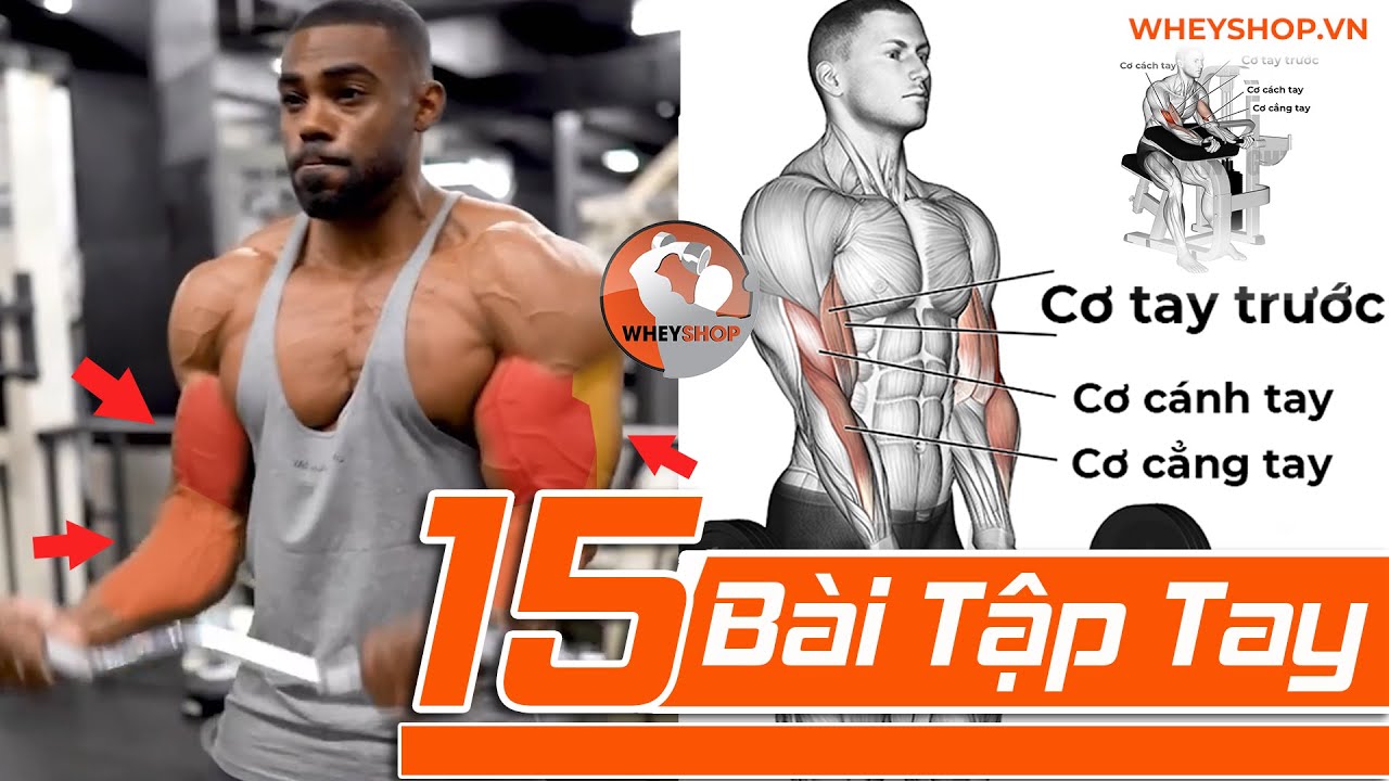 15 Bài Tập Tay Siêu To Hiệu Quả Cho Dân Tập Gym I WHEYSHOP.VN