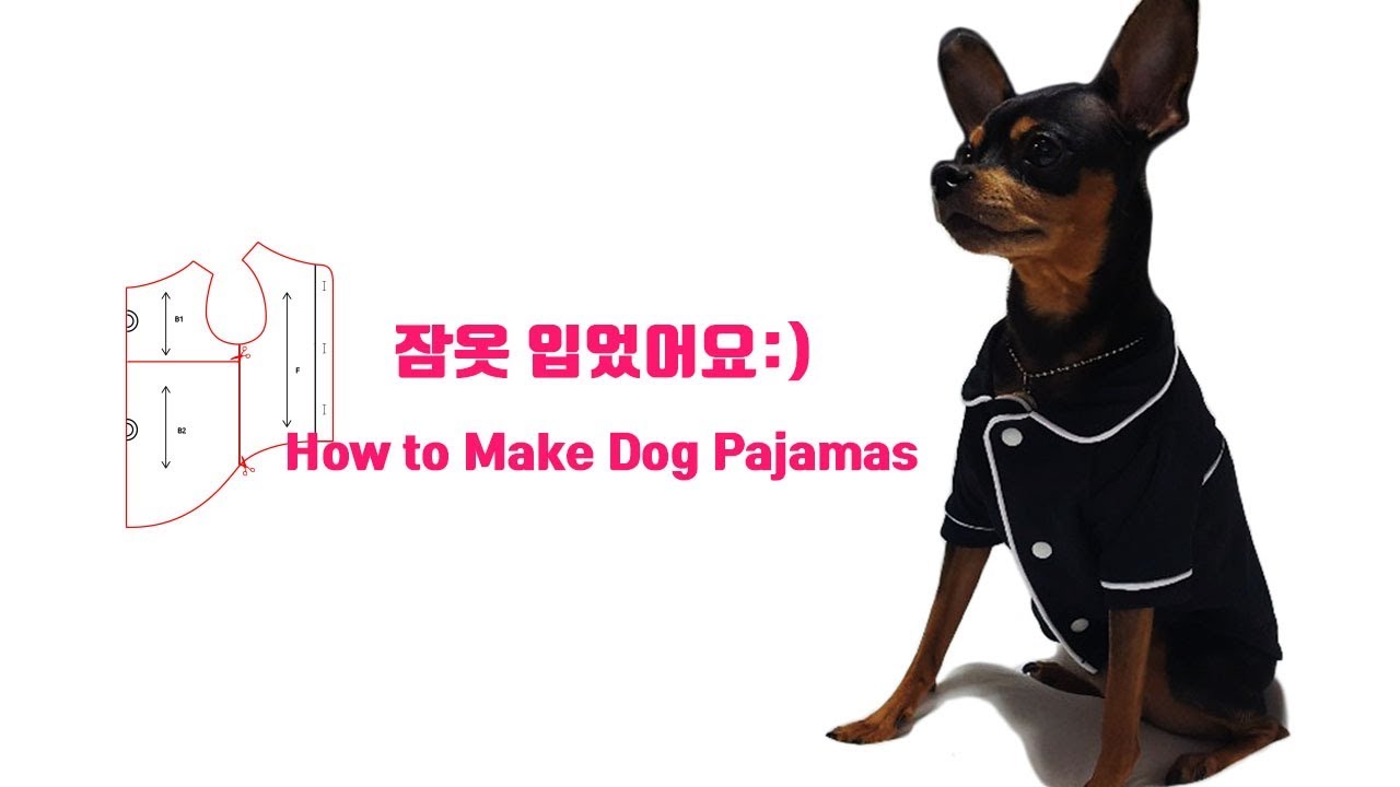 강아지 옷 파자마 만들어서 입혔어요 :D 패턴 & 봉제