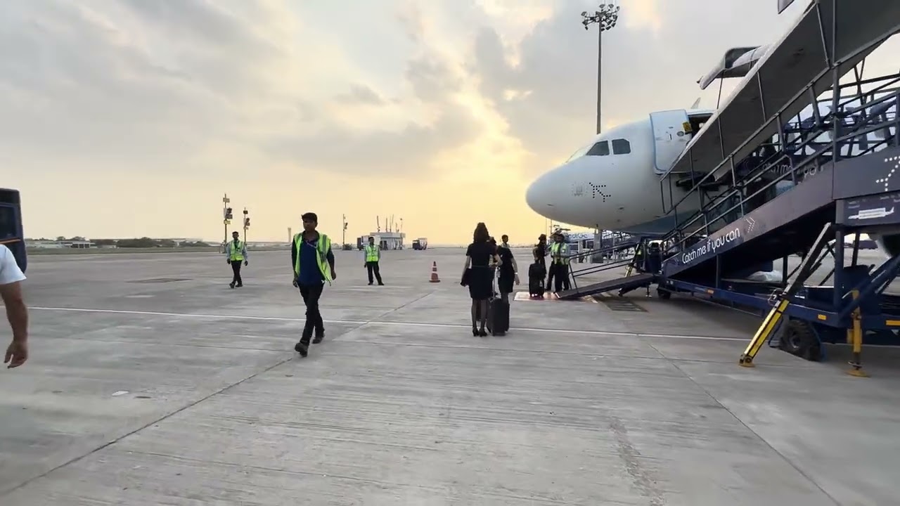 Mew Delhi 😍 @Kaayavloger22 