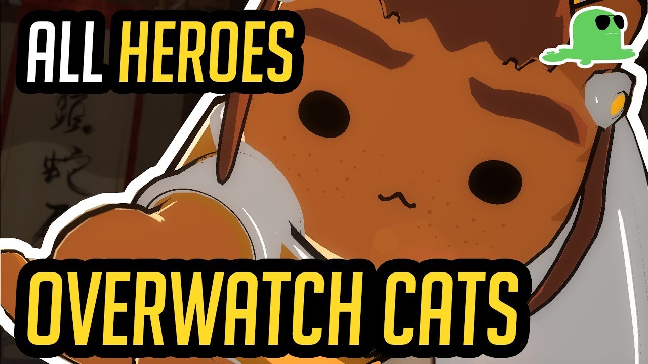 Overwatch but with Cats - ALL HEROES - 