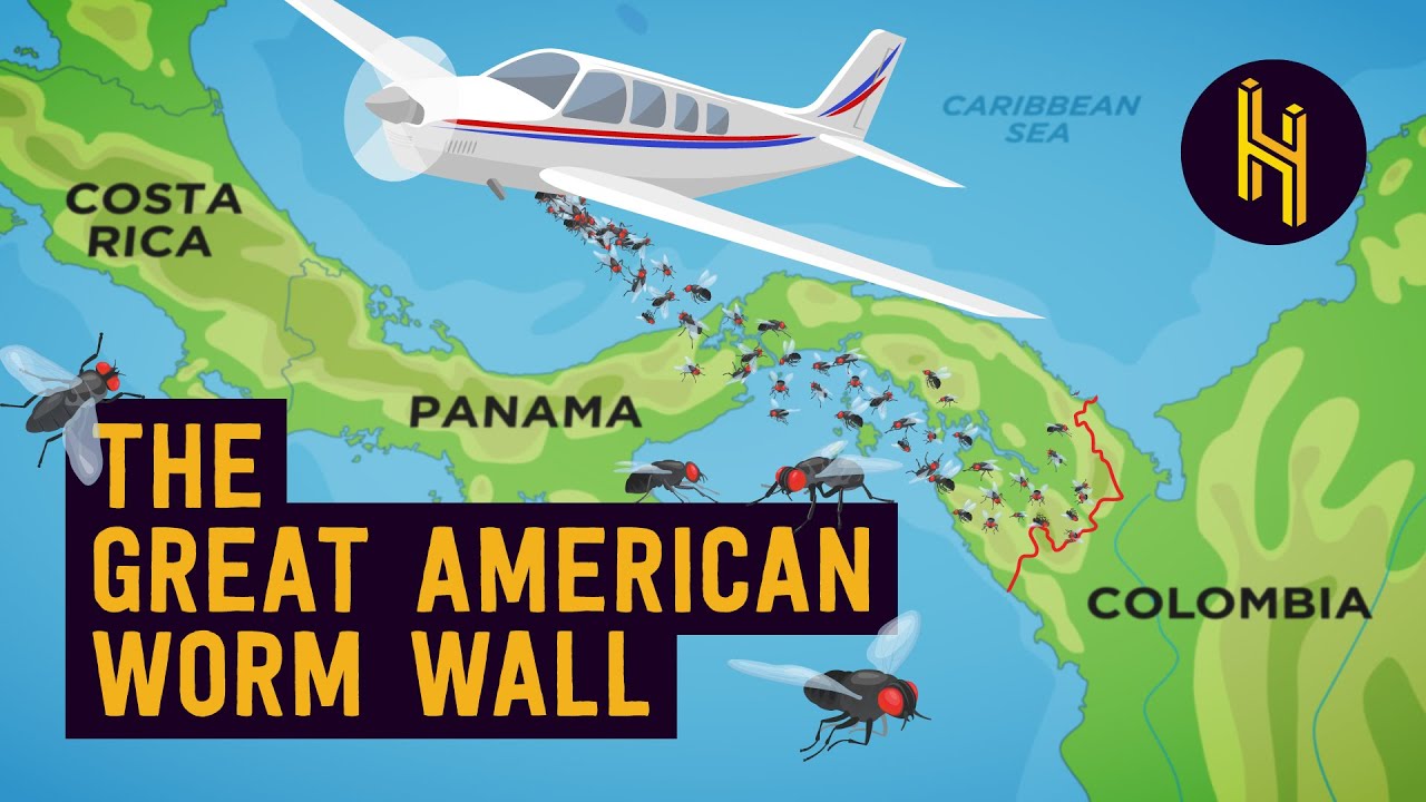 Why the US Drops 14.7 Million Worms On Panama Every Week