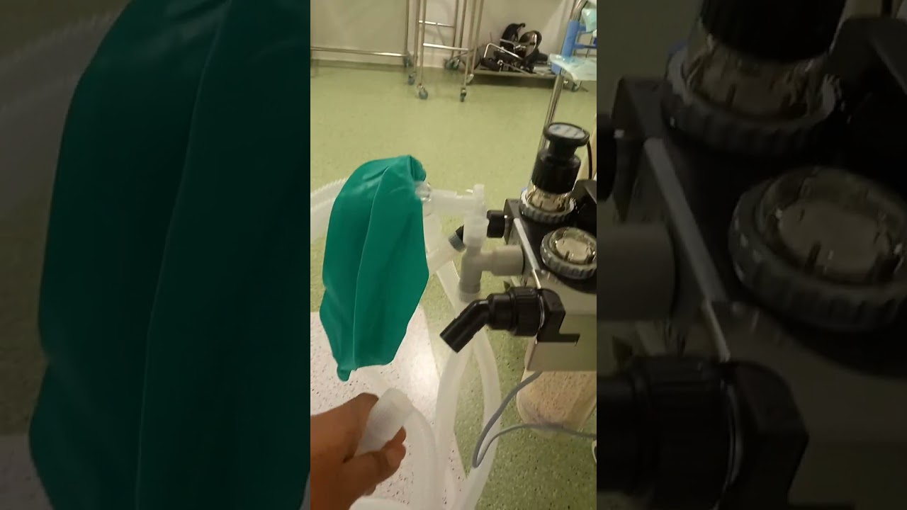 Checking Anaesthetic Machine Drager Fabius plus