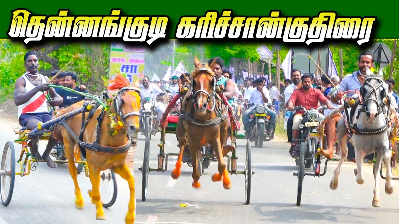 தென்னங்குடி கரிச்சான்குதிரை  01/03/2026