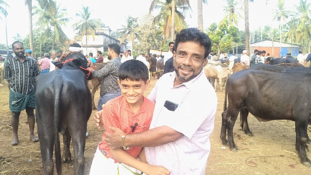 04/01/26 ചട്ടിപ്പറമ്പിന്റെ സ്വന്തമായി മാറിയ വൈറൽ മോൻ മുത്തൂ മൊല്ല ഹനീഫ സൗഹൃദം പങ്കിടുന്നു #baffalo 