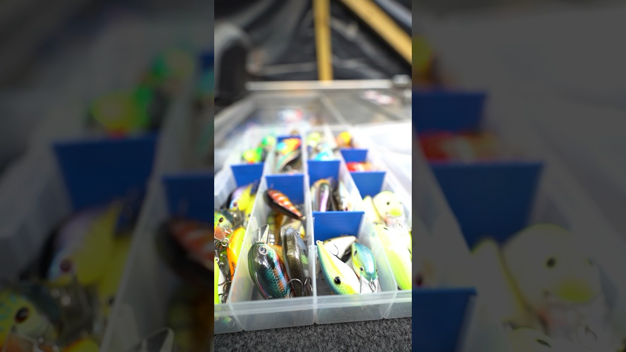 You can choose ONE Fishing Lure&hellip;