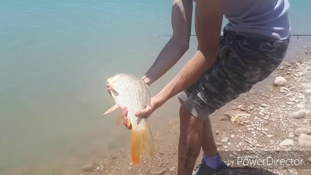 Carfishing Embalse el chorro (Ardales)Malaga.