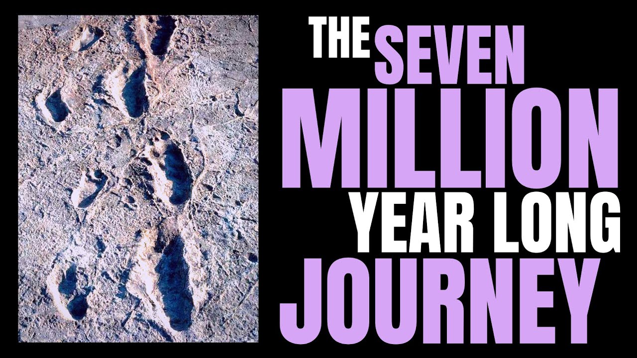 The Seven-Million-Year-Long Journey - Why Humans Stood Upright ~ with JEREMY DESILVA