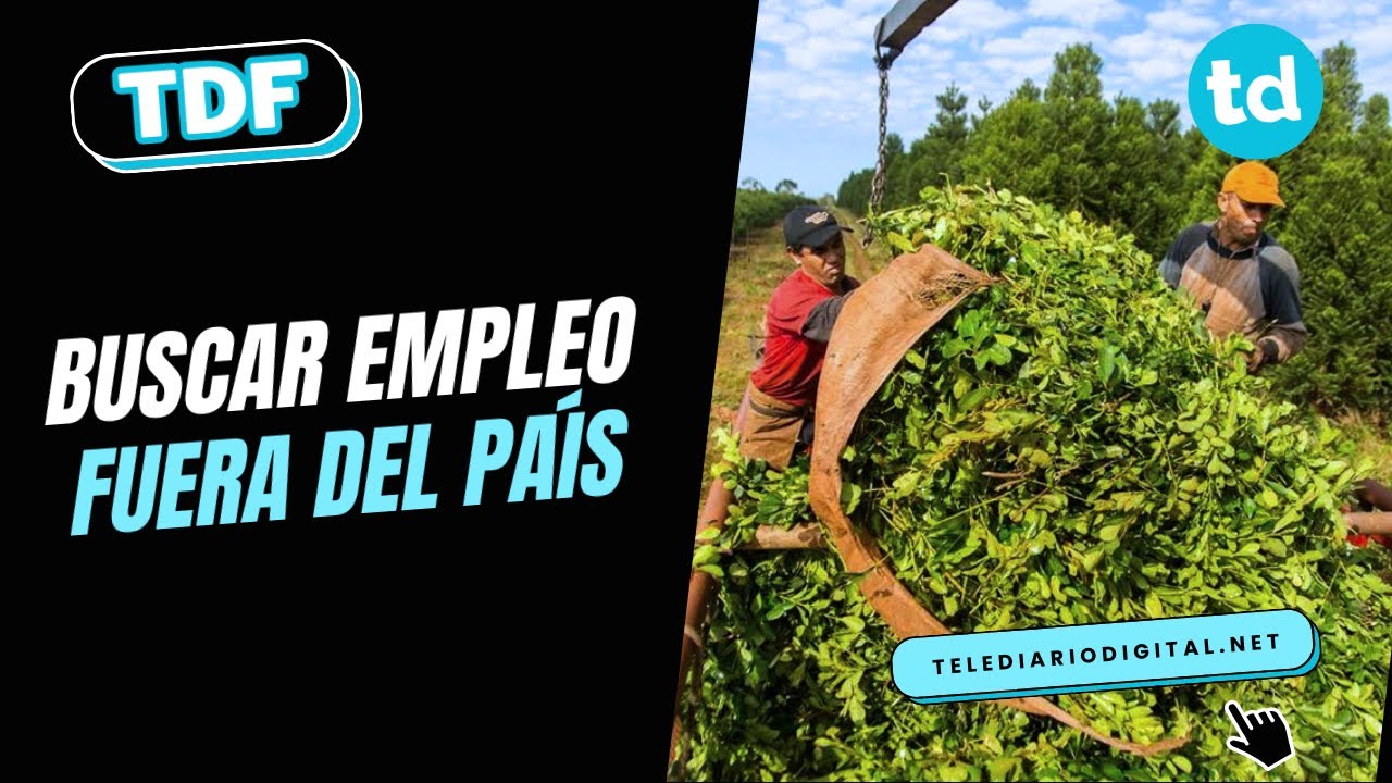 Misioneros cruzan a Brasil para trabajar: la cosecha de manzana y uva expone la crisis laboral 🍎🍇
