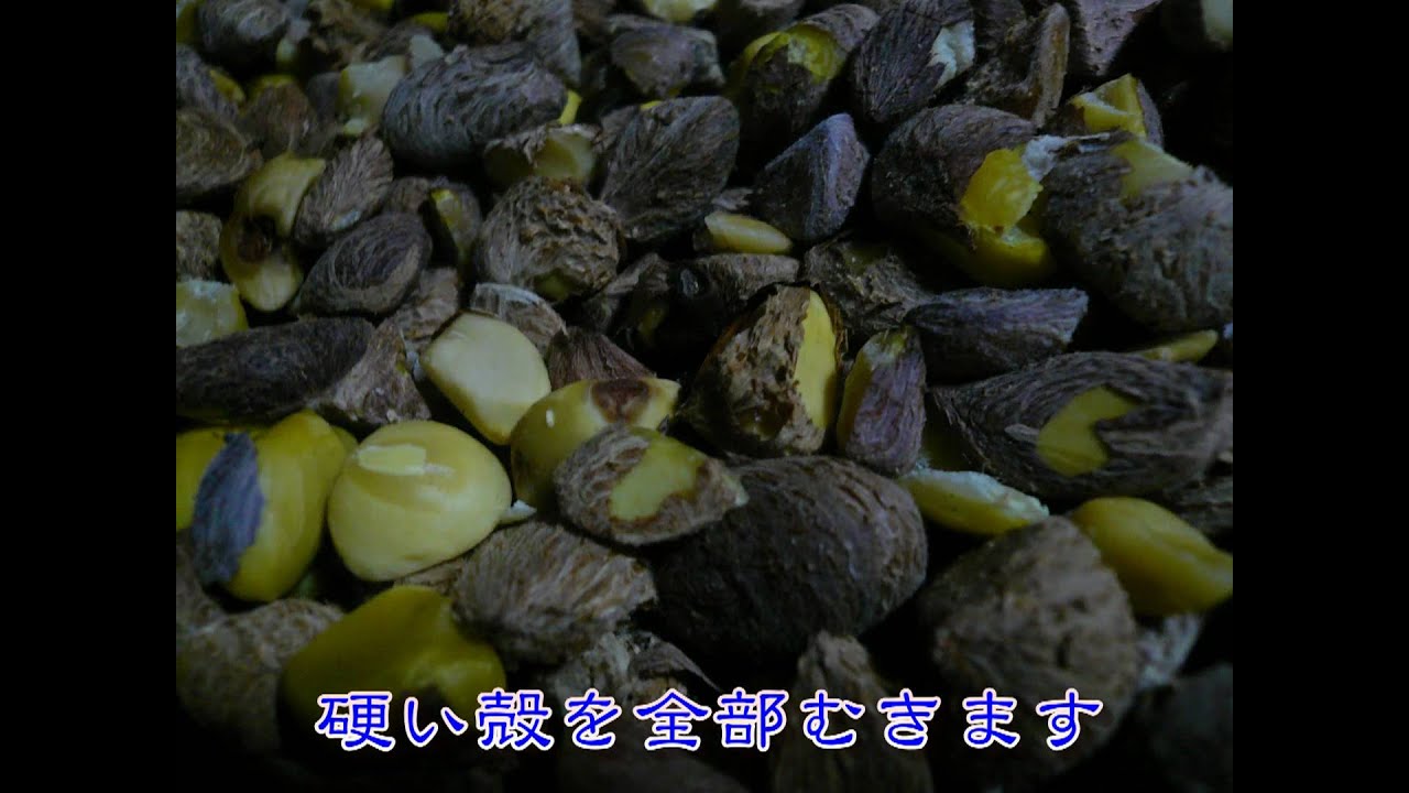 椿油ができるまで.wmv