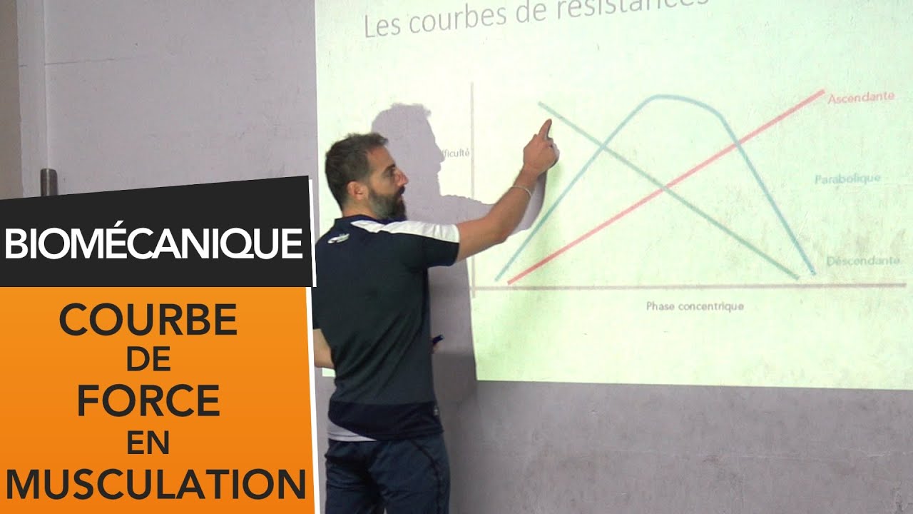 Les courbes de résistance en musculation [COURS STAPS]