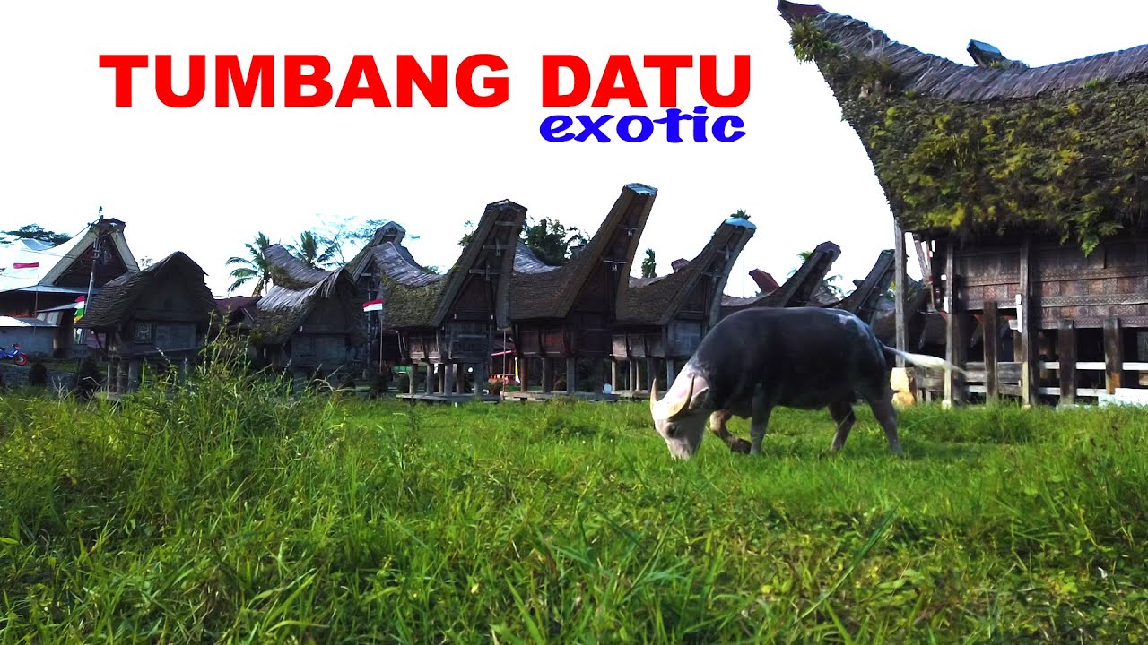 Pesona Desa Tumbang Datu Sangalla Utara Tana Toraja