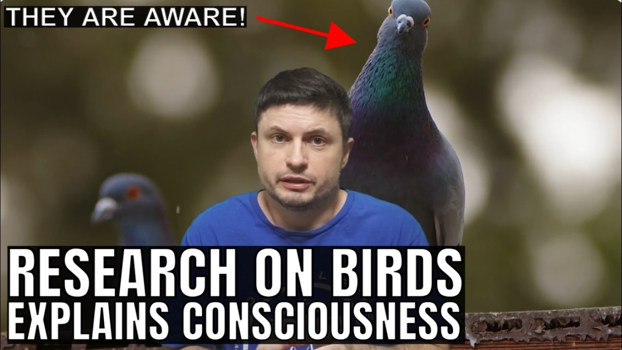 Why Did Consciousness Evolve? Exciting Research on Bird Brains