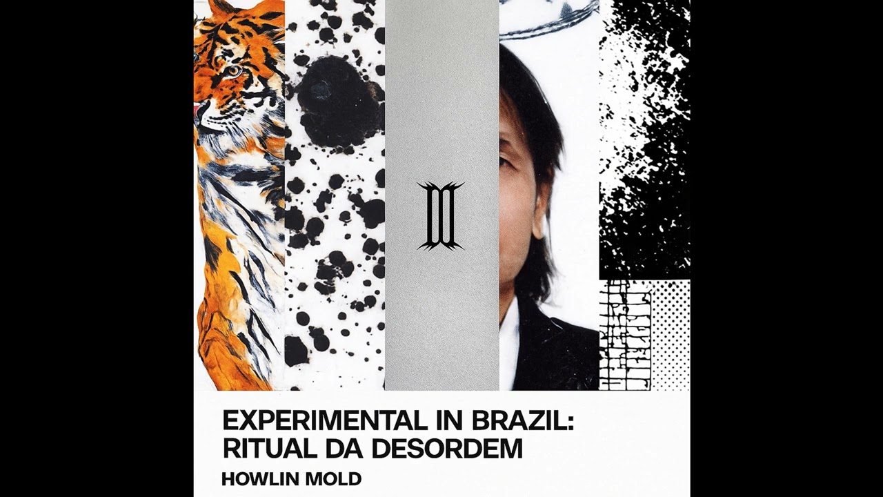 HOWLIN MOLD - EXPERIMENTAL IN BRAZIL - RITUAL DA DESORDEM