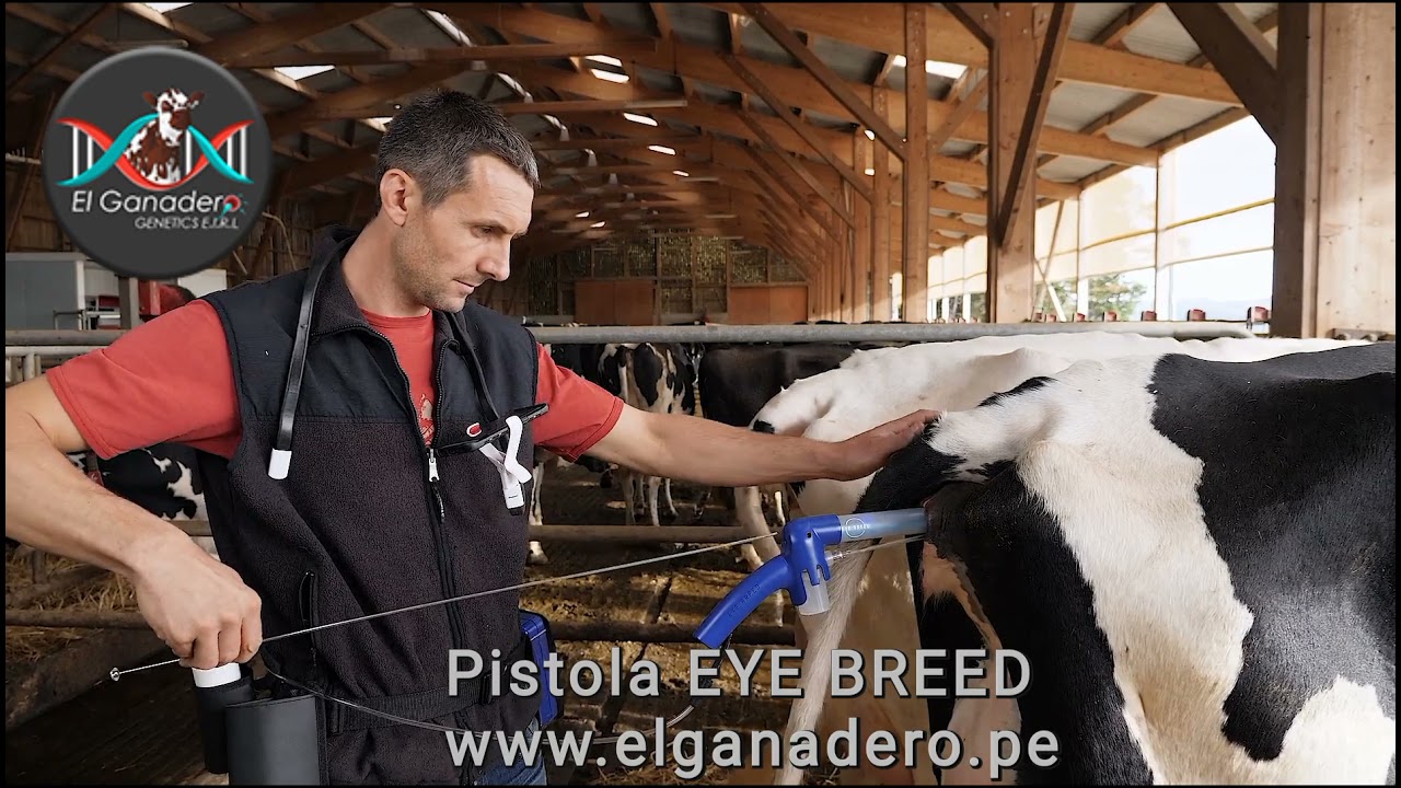 pistola de Inseminación con Cámara eye Breed