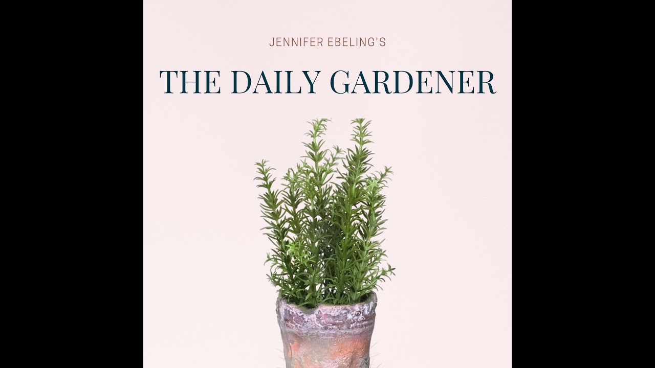 February 17, 2022 Reginald Farrer, the Carrot, Small Garden Style by Isa Hendry Eaton, and...