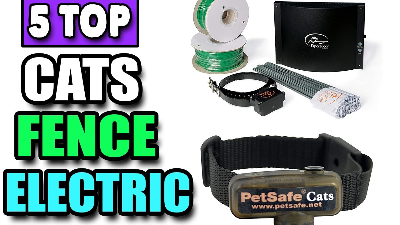 Best Indoor Invisible Fence for Cats  Electric Cat Fence