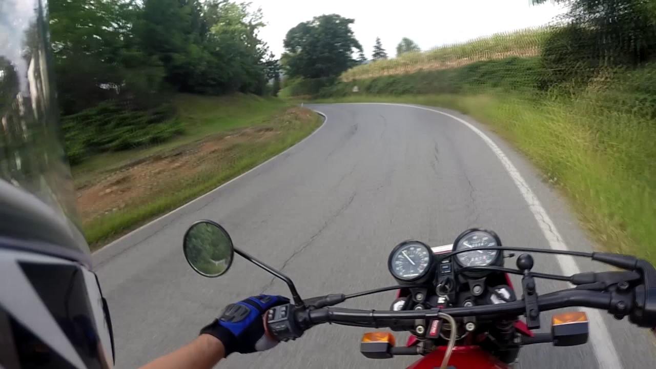 Un giro in collina con il kanguro