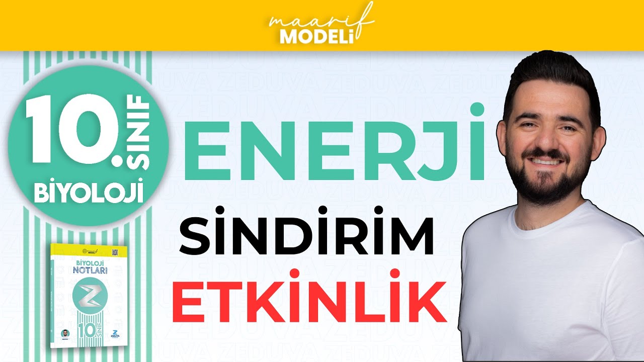 İnsanda Sindirim-Etkinlik Soru Çözümü | Enerji 1.Ünite | 10.sınıf biyoloji maarif model | ZEDUVA