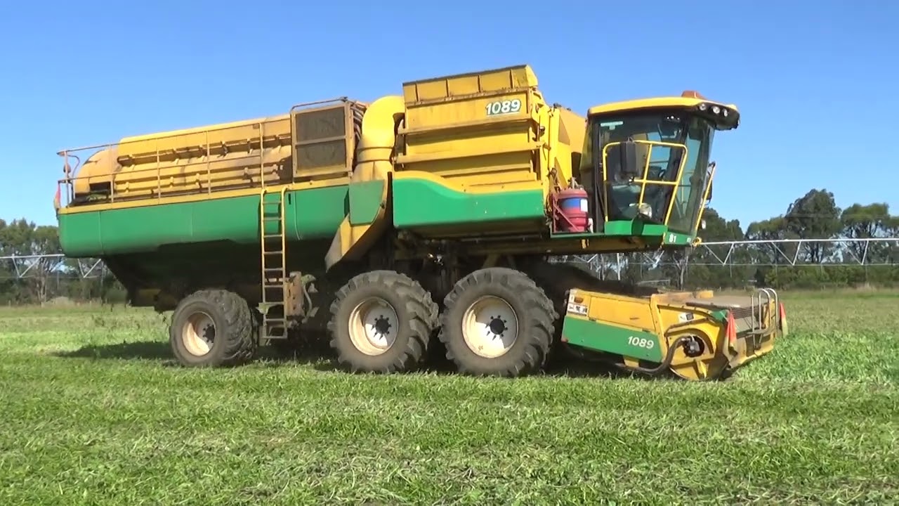 Glendale Pea Harvest 2026 Part 3
