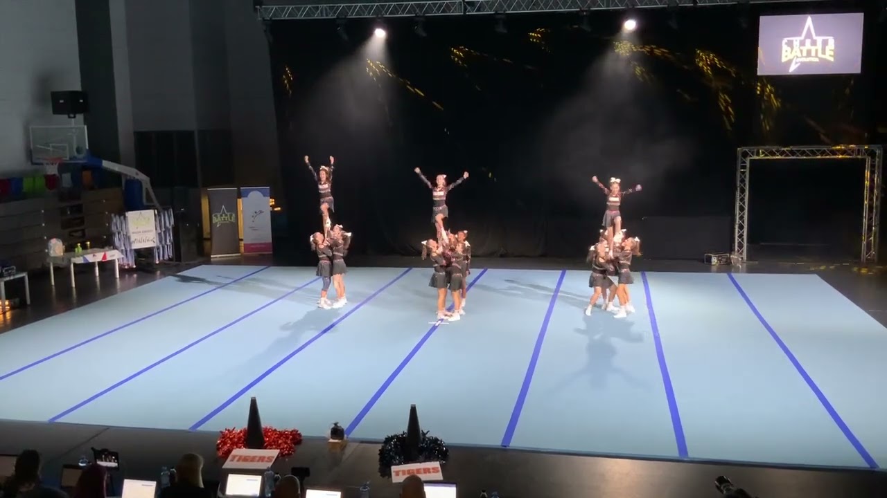 AngelCats