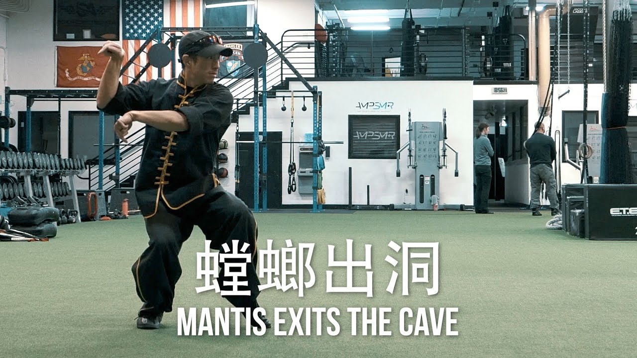 Mantis Exits the Cave [螳螂出洞] Walkthrough Tutorial