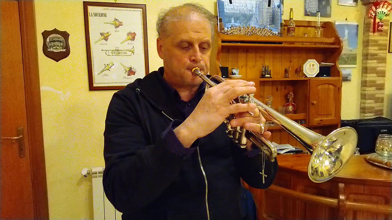 Santino Torre - IL Silenzio D'ordinanza