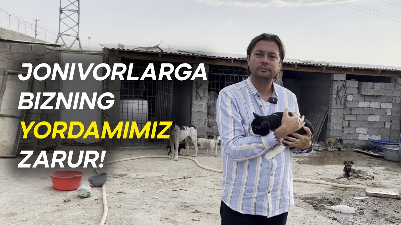 Achinarli Holat: Itni Boqishga Deb, Go'sht Uchun Olishgan...