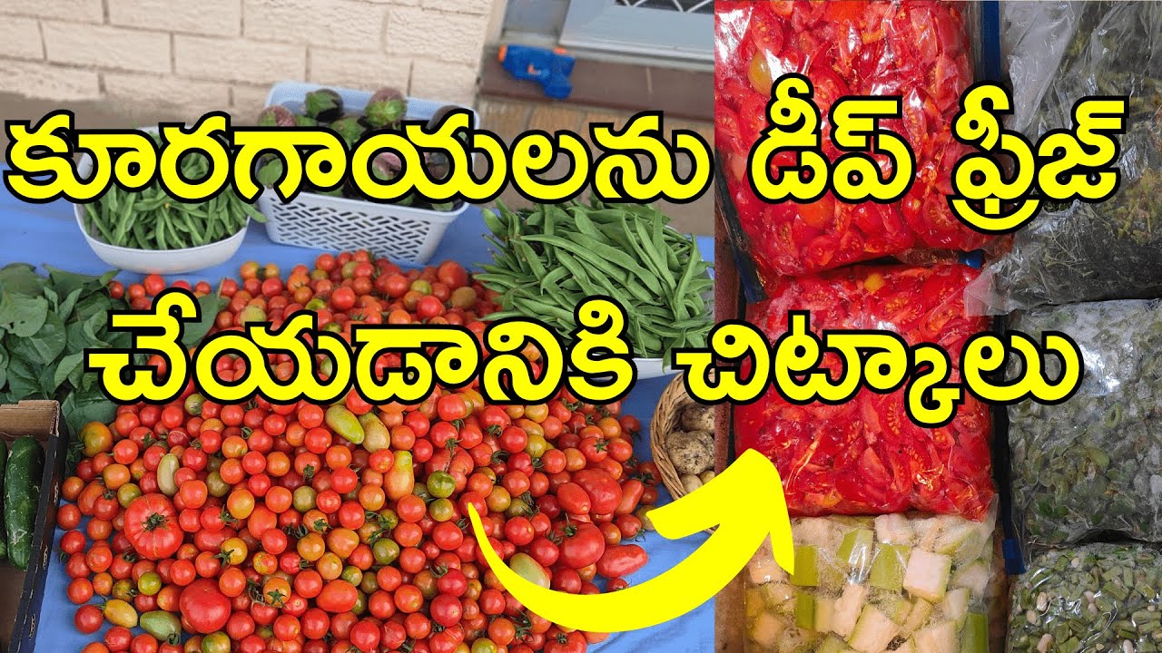 Preserve Your Veggies with Deep Freezing (2024)#gardening
