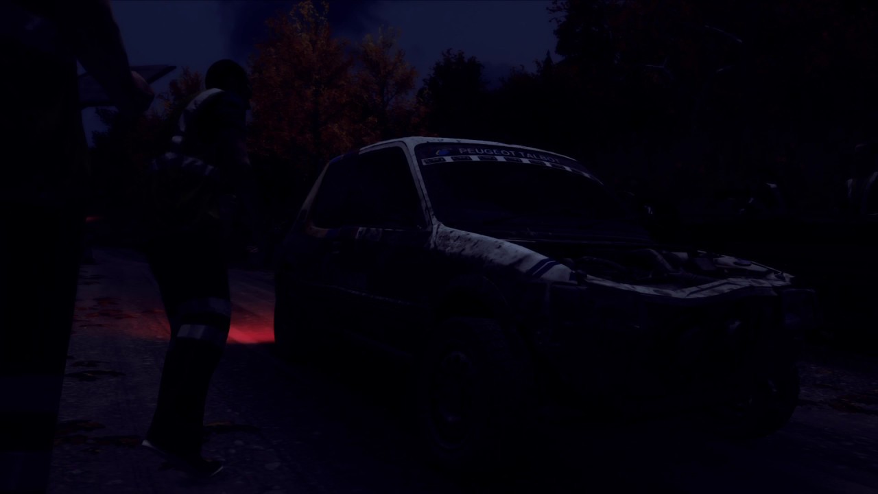 DiRT Rally 2.0: When You Left Your Headlights on Previous Stage
