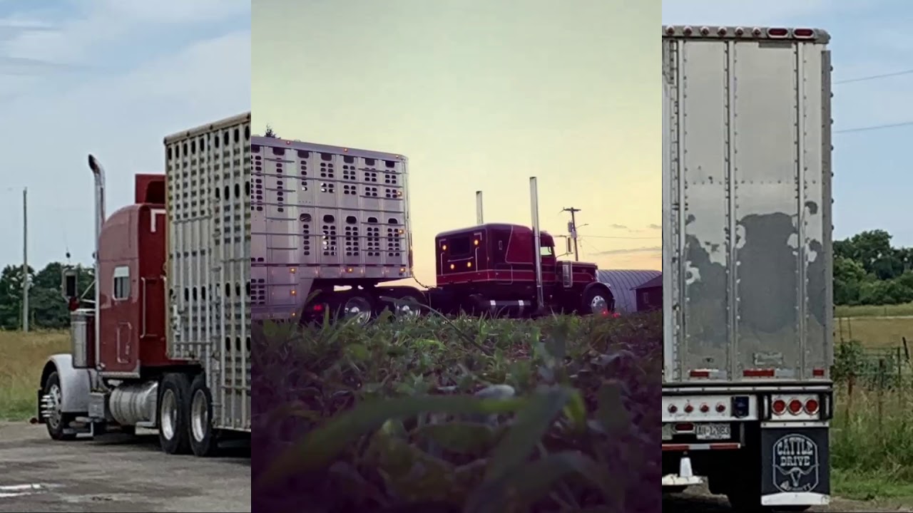 cow truck outlaw in me