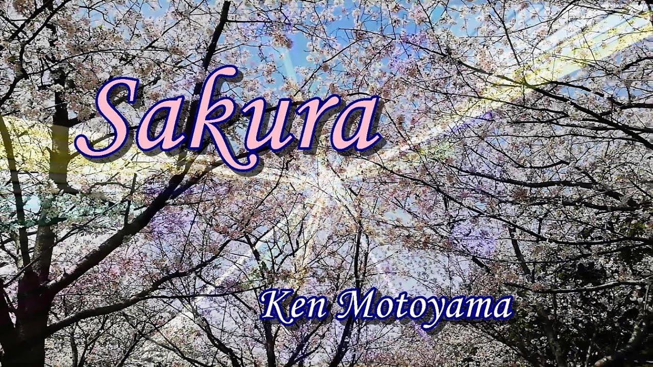 Sakura/Electronic ambient music, Japanese cherry blossom landscape & Psychedelic graphic.