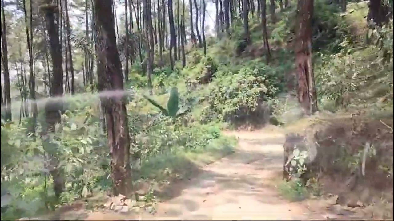Akses ke Lembah Bromo (Ledok Amprong)